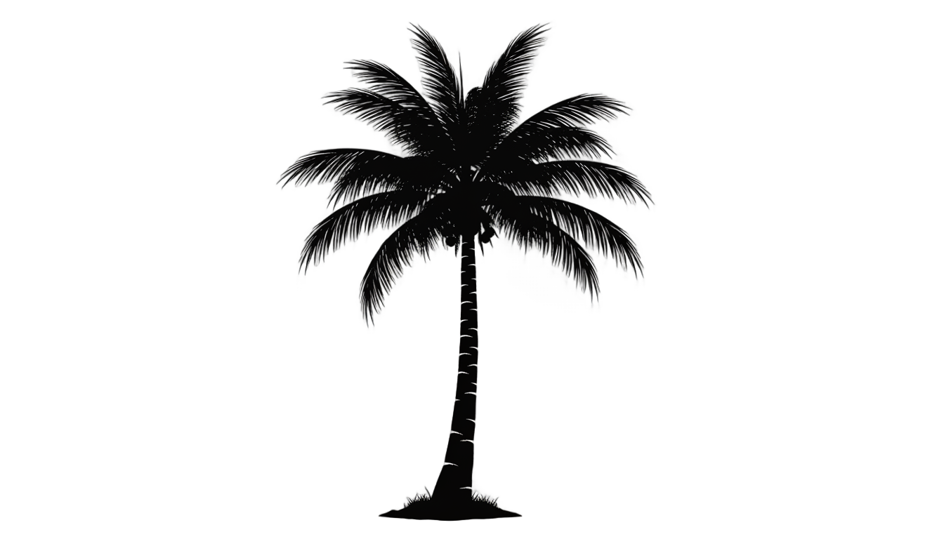 realistic palm tree silhouette png PNG transparent background