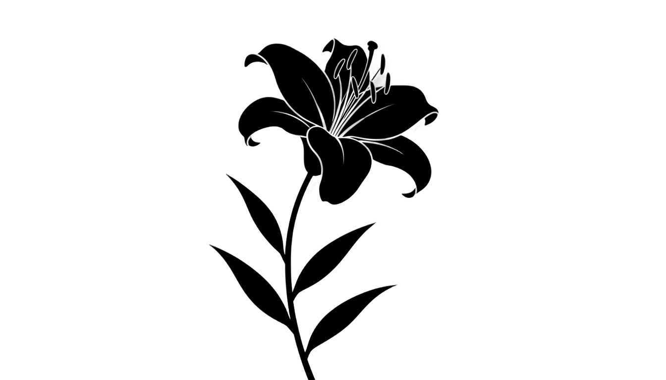 lily silhouette png PNG transparent background