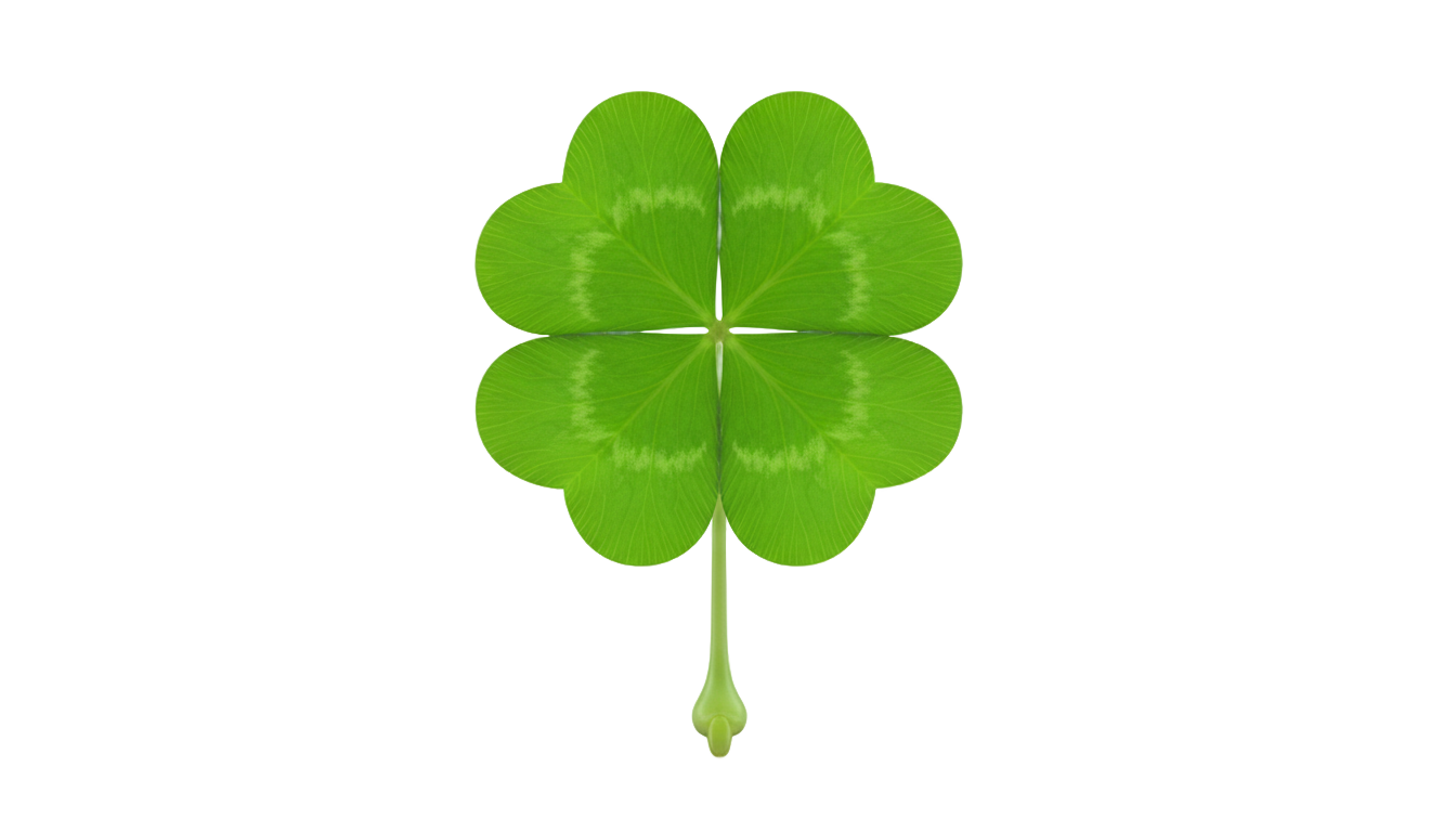 vector 4 leaf clover png PNG transparent background