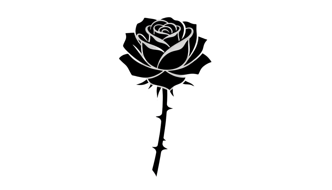 black rose vector png PNG transparent background