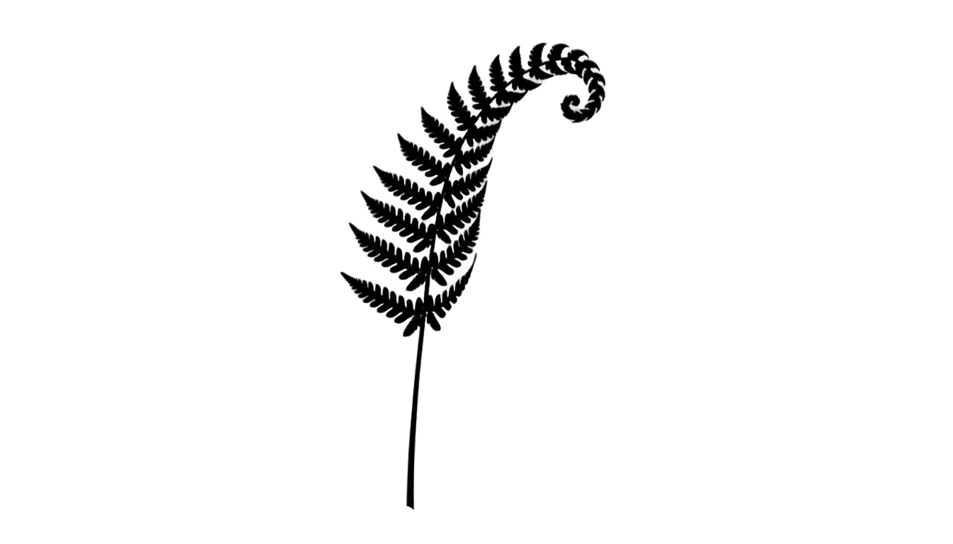 fern png black and white PNG transparent background