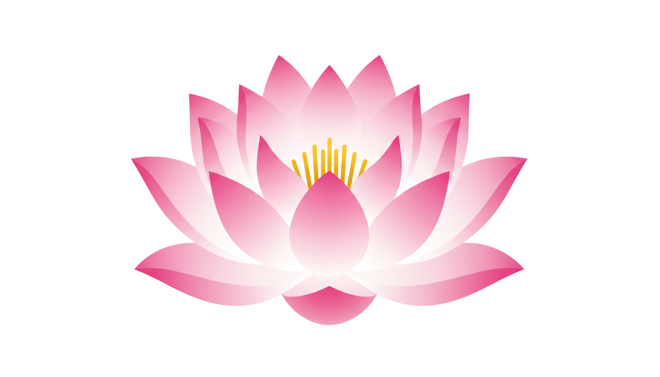 lotus flower vector png PNG transparent background