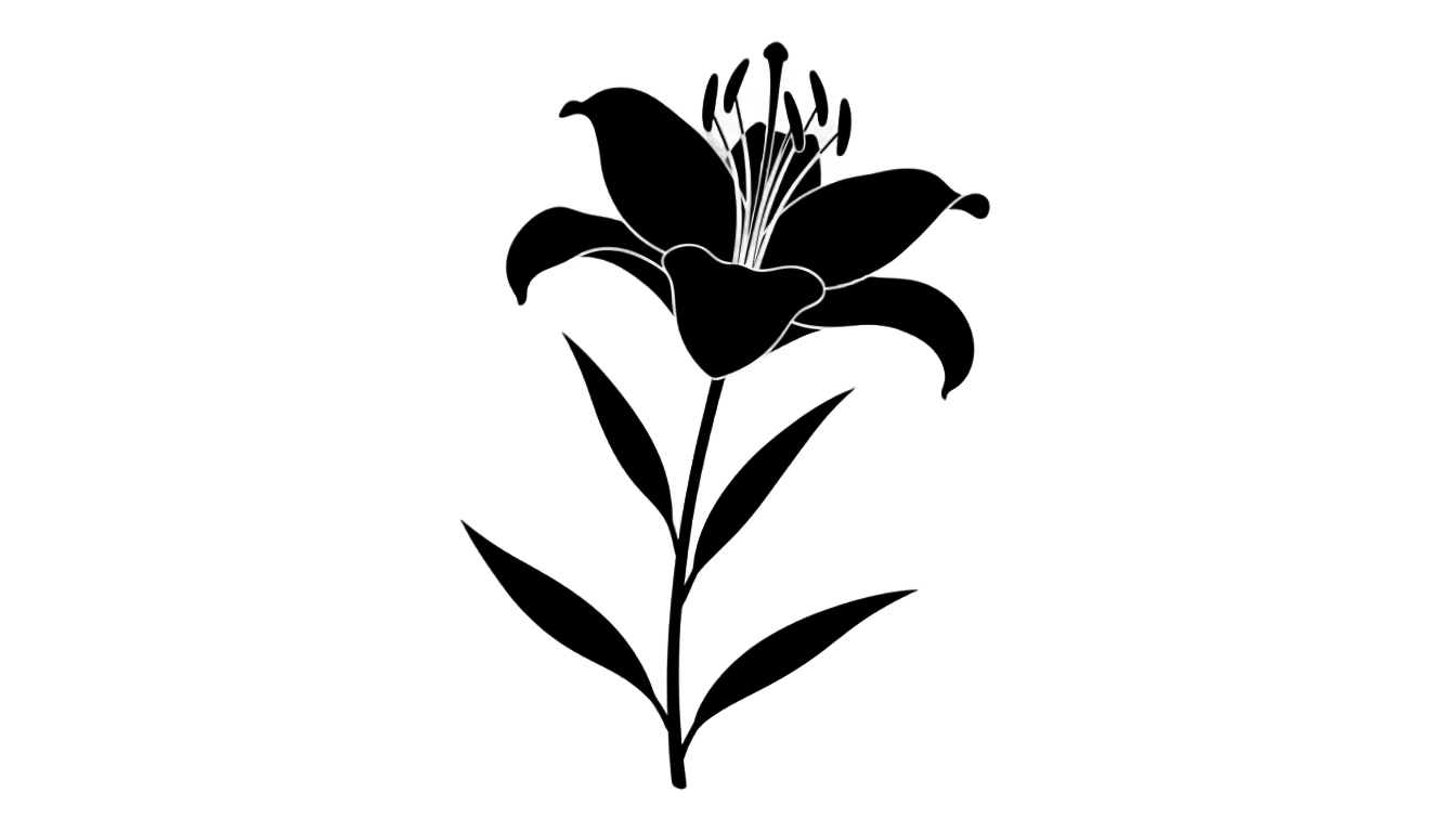 lily flower silhouette png PNG transparent background