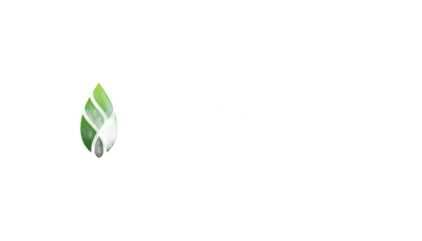 bamboo hr logo png PNG transparent background