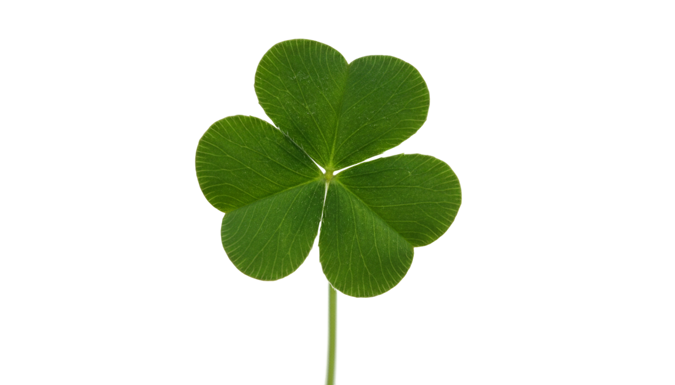 real clover png PNG transparent background