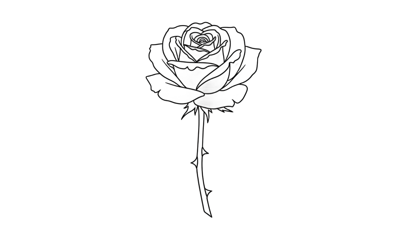 rose outline png PNG transparent background