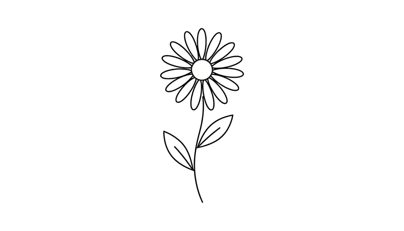daisy outline png PNG transparent background