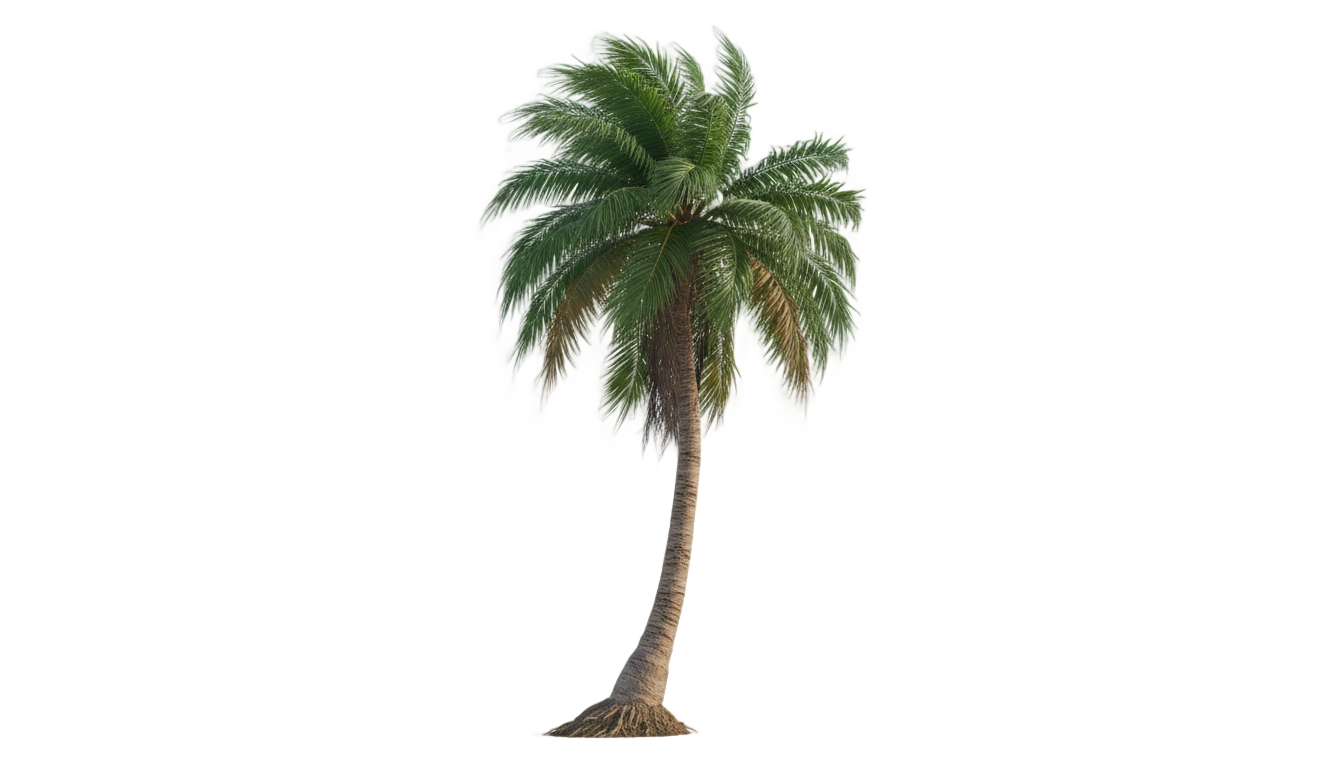 anime palm tree png PNG transparent background