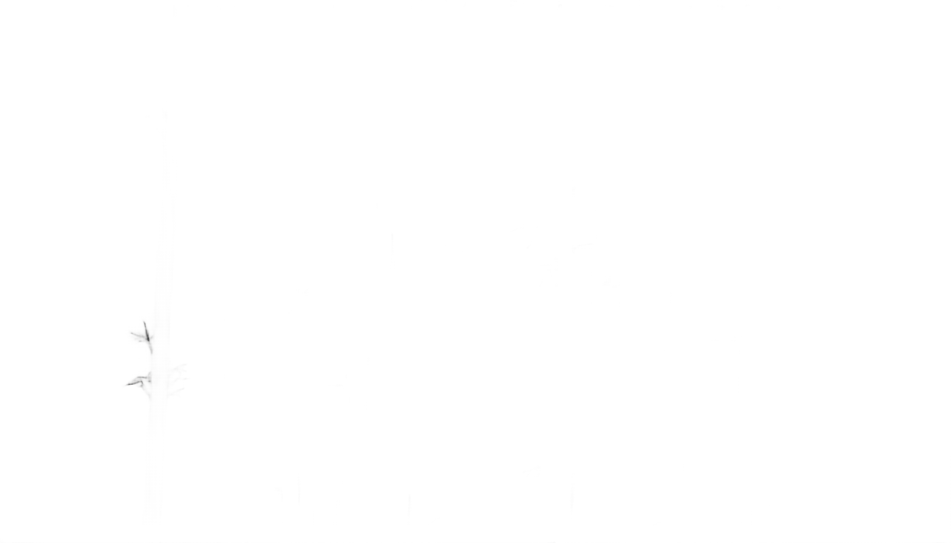 bamboo png black and white PNG transparent background