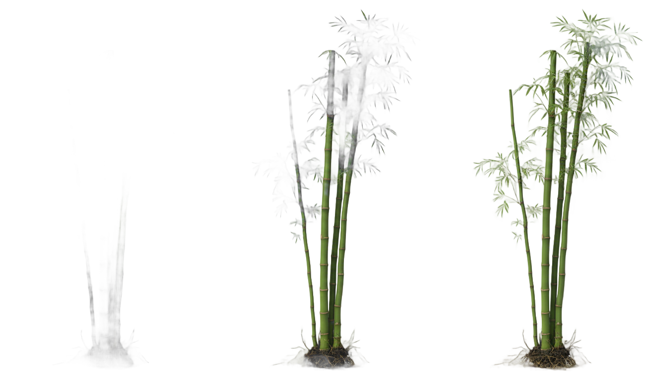 bamboo animated png PNG transparent background