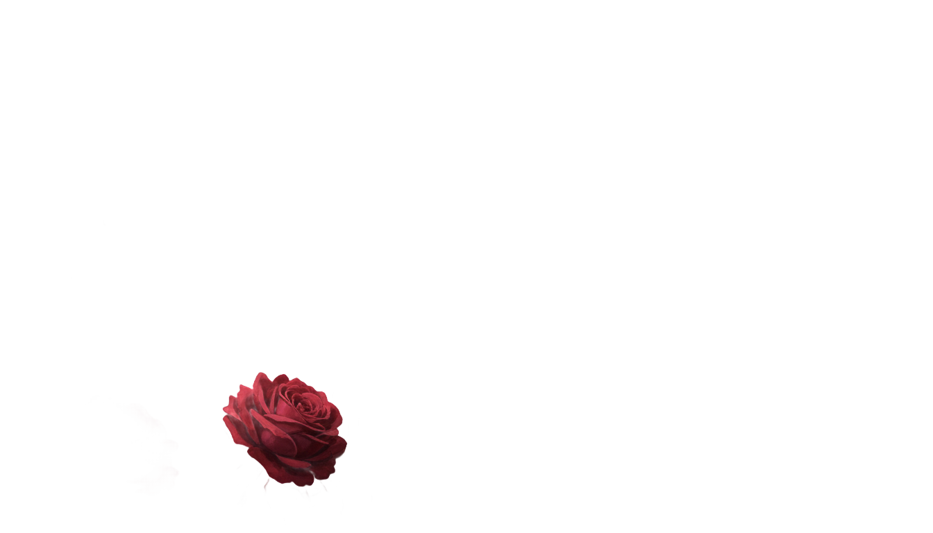 rose garden png PNG transparent background