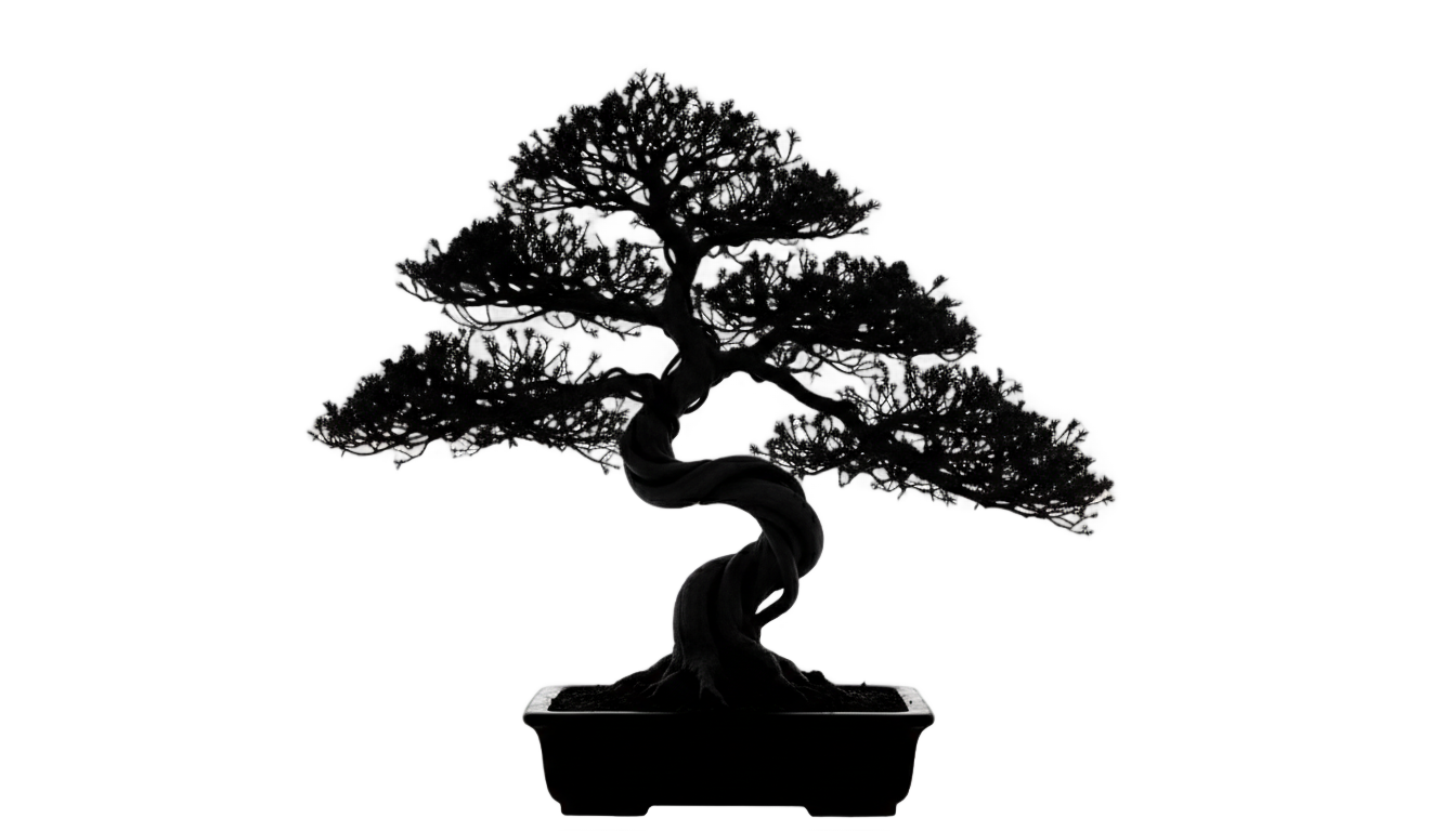 bonsai tree silhouette png PNG transparent background
