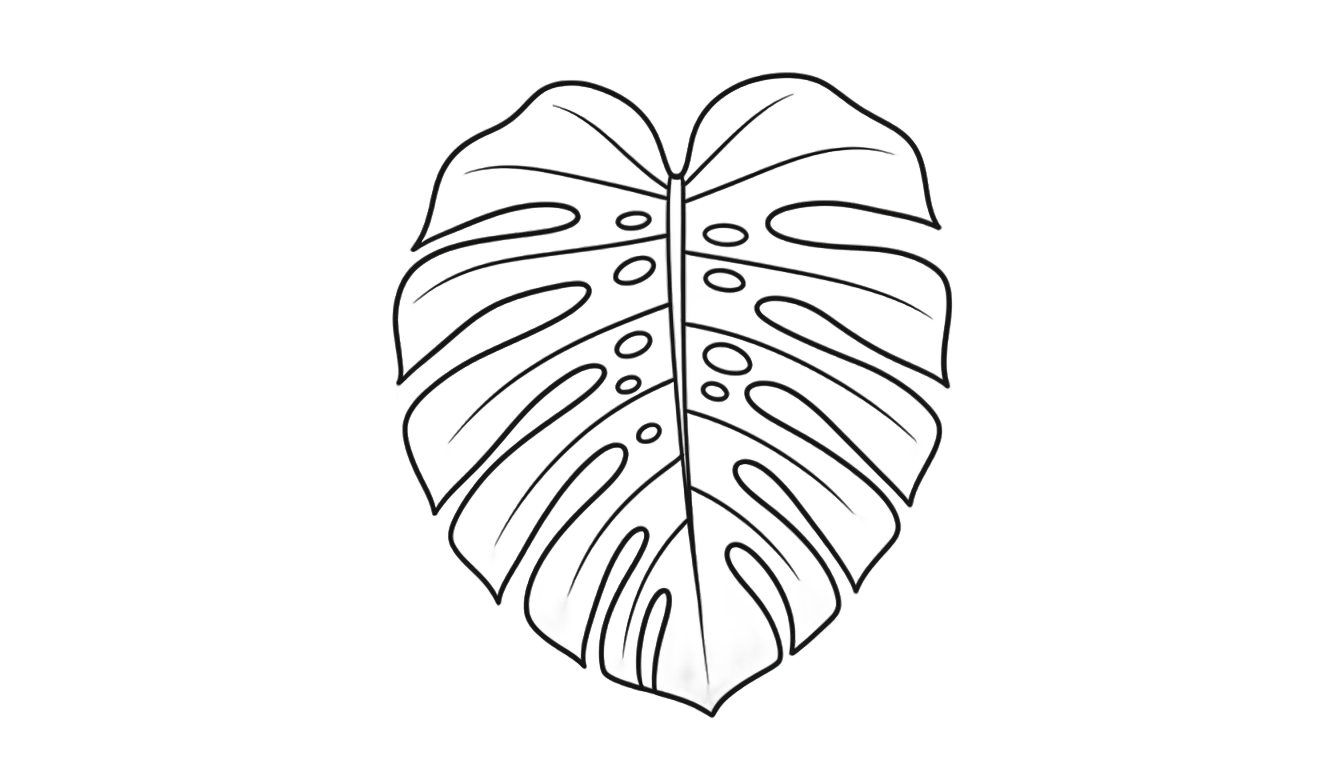 monstera line art png PNG transparent background