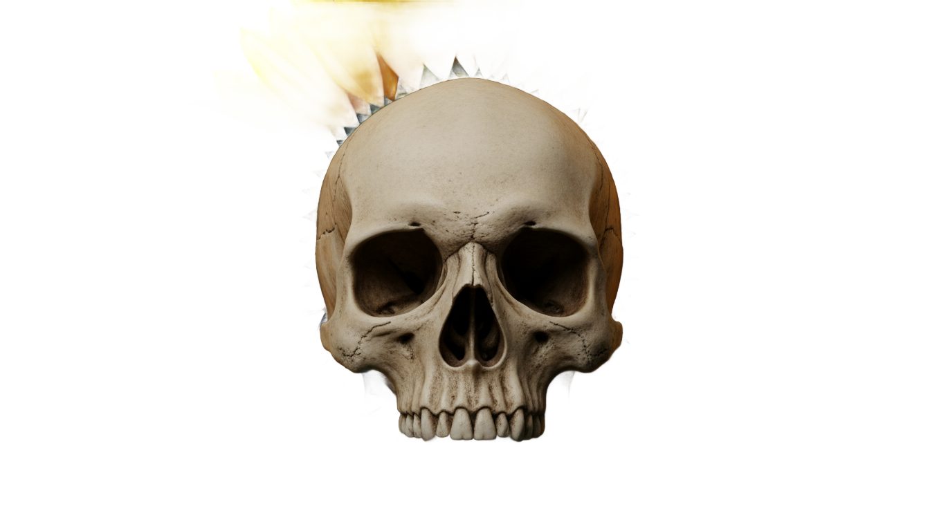 sunflower skull png PNG transparent background