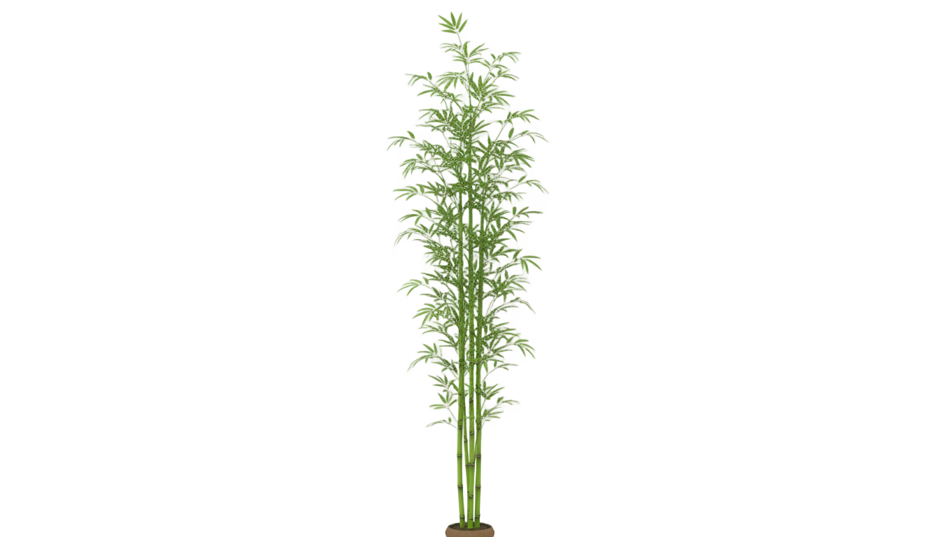 bamboo tree png PNG transparent background