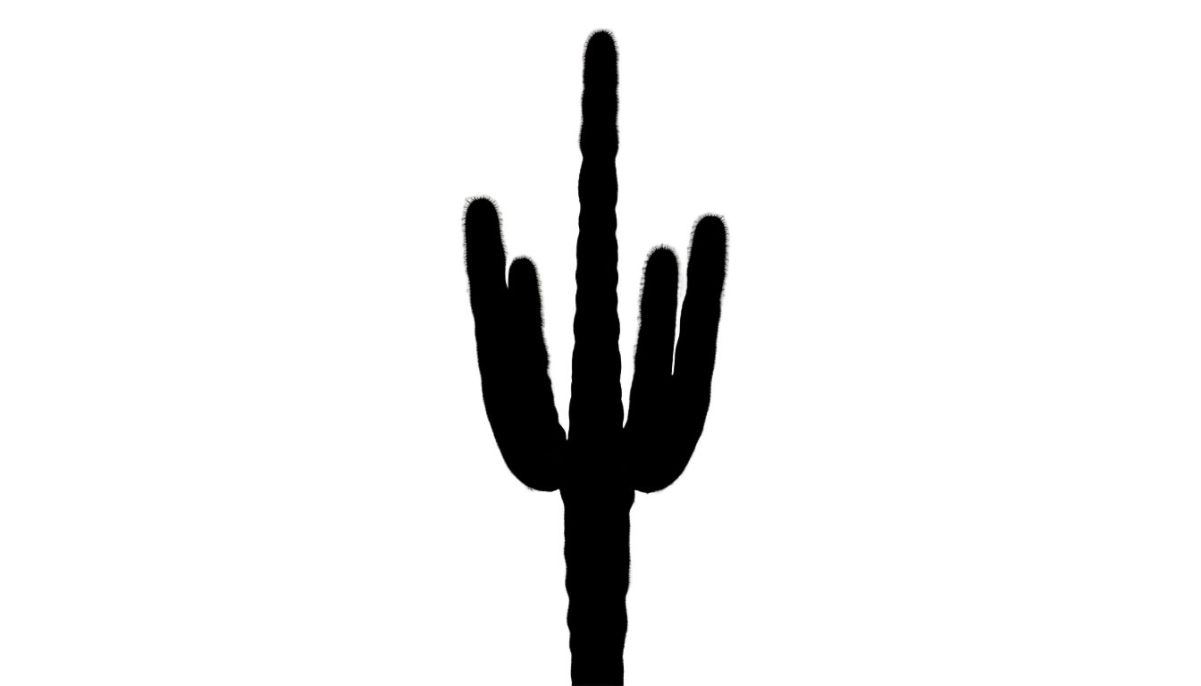 cactus png clipart black and white PNG transparent background