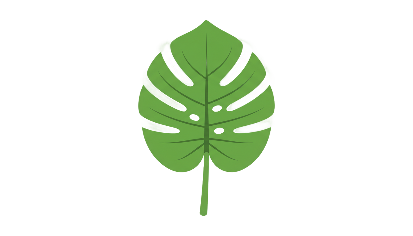 monstera leaf icon png PNG transparent background