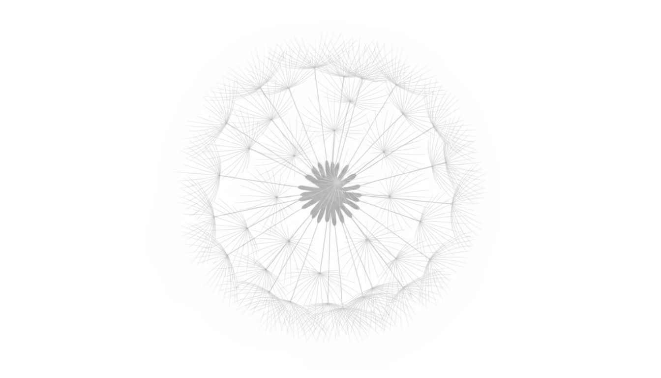 dandelion icon png PNG transparent background