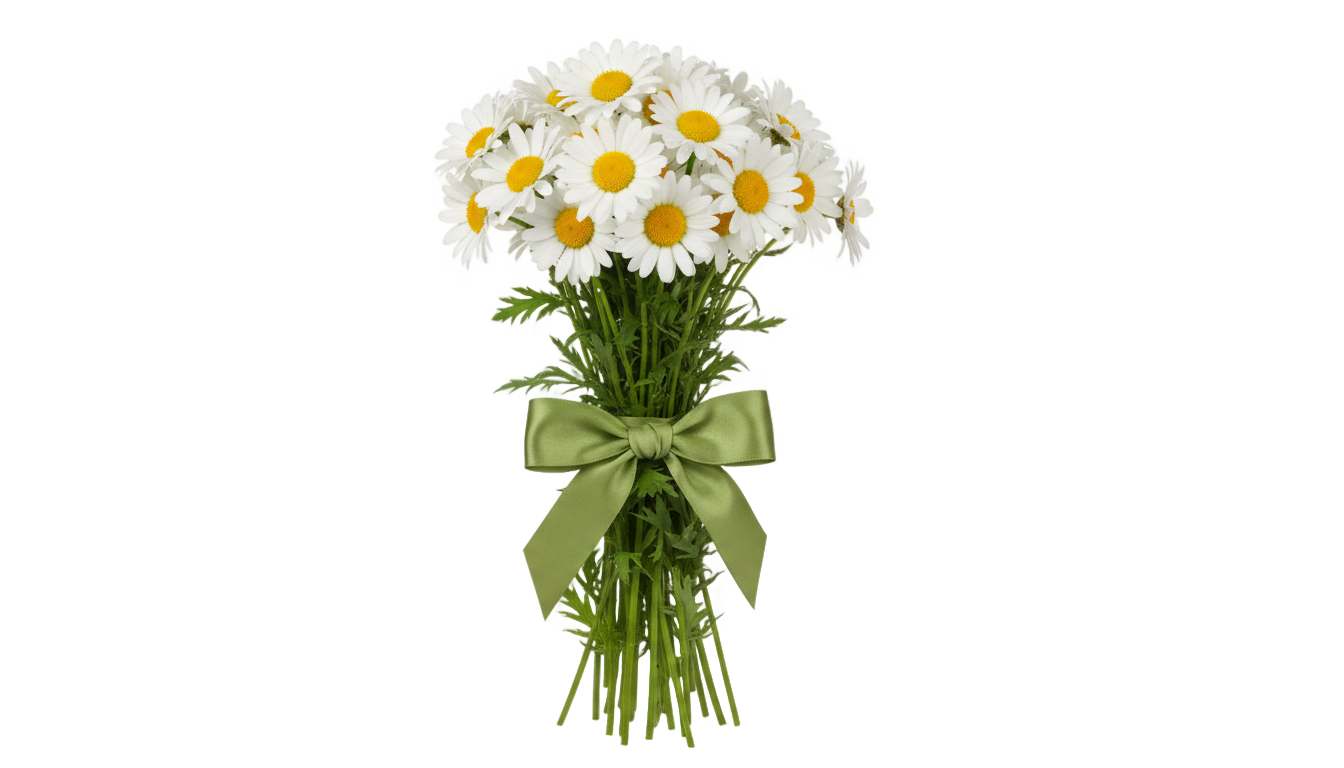 daisy bouquet png PNG transparent background