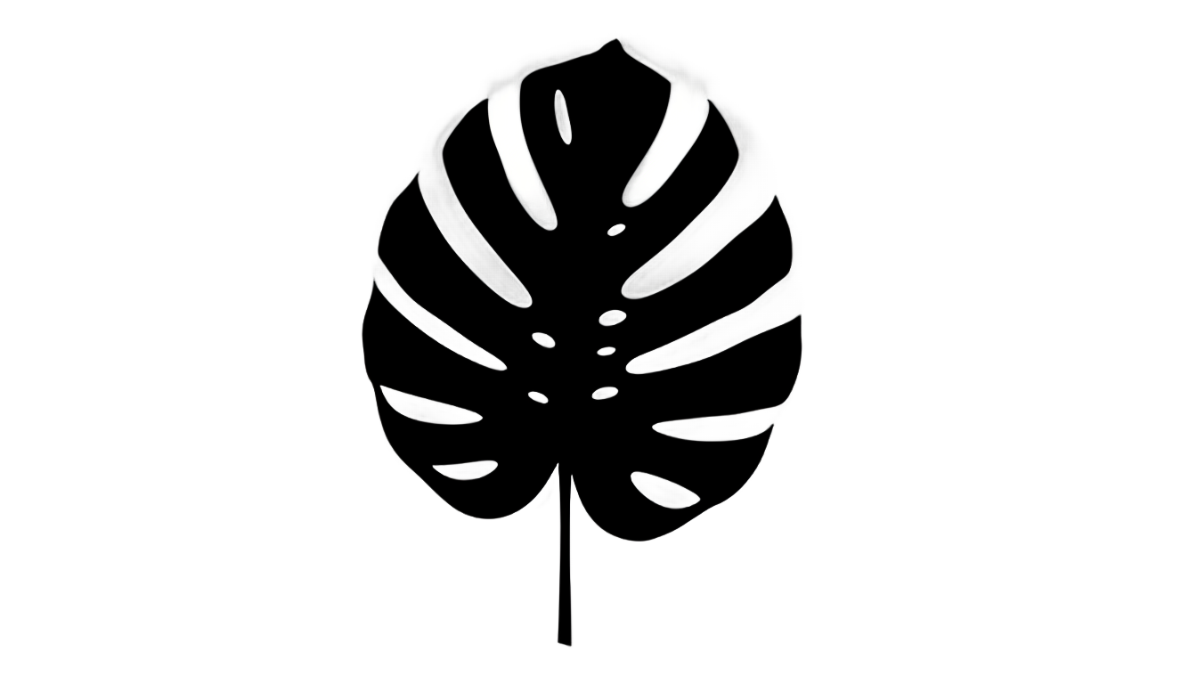 monstera leaf silhouette png PNG transparent background
