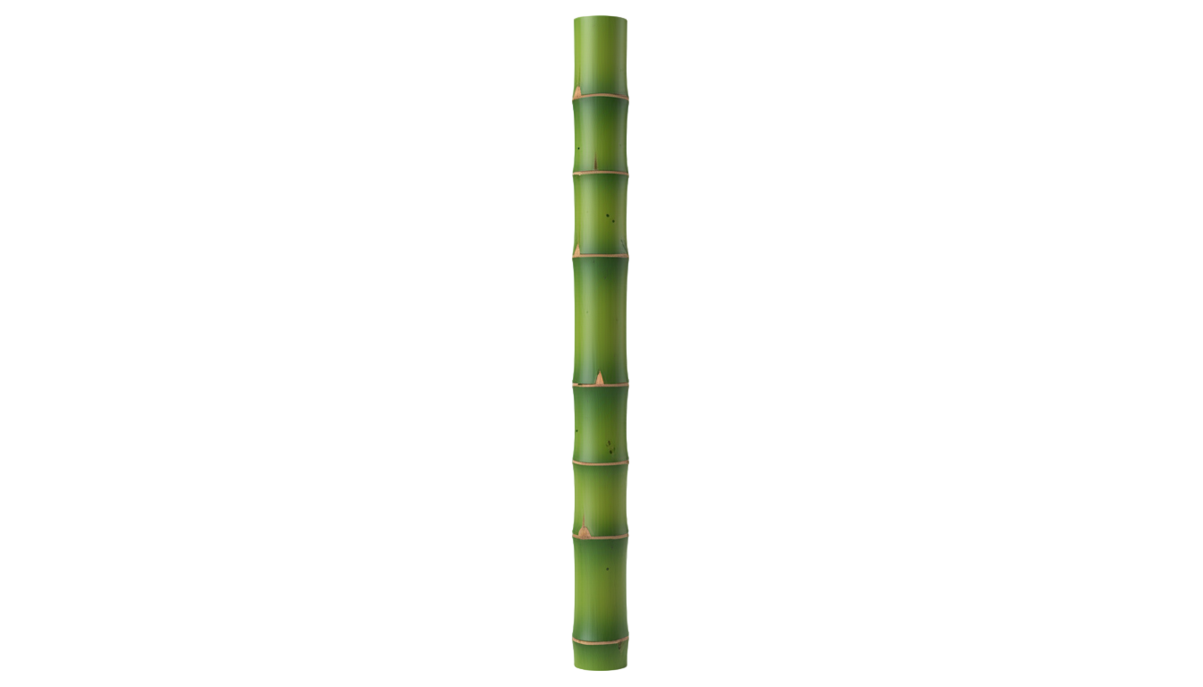green bamboo stick png PNG transparent background