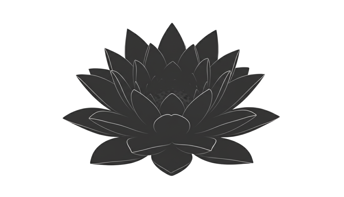 lotus flower silhouette png PNG transparent background