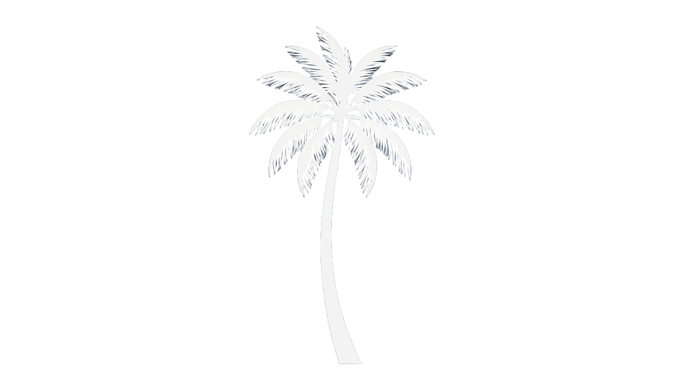 palm tree icon white png PNG transparent background