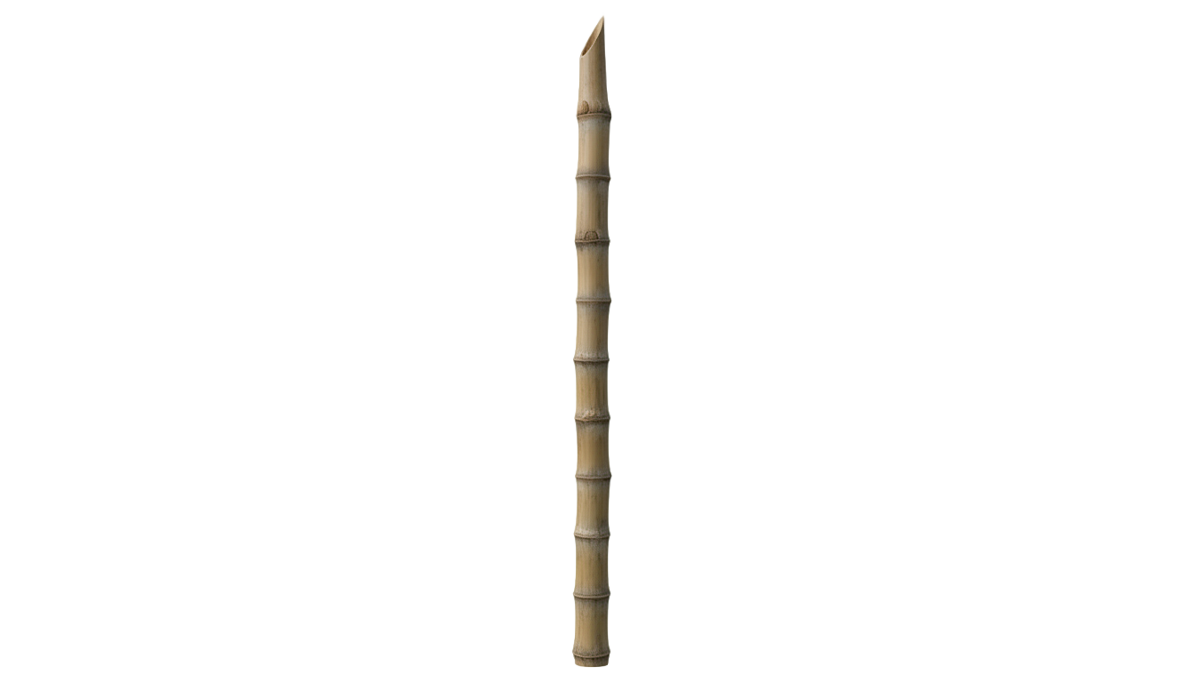 dried bamboo png PNG transparent background
