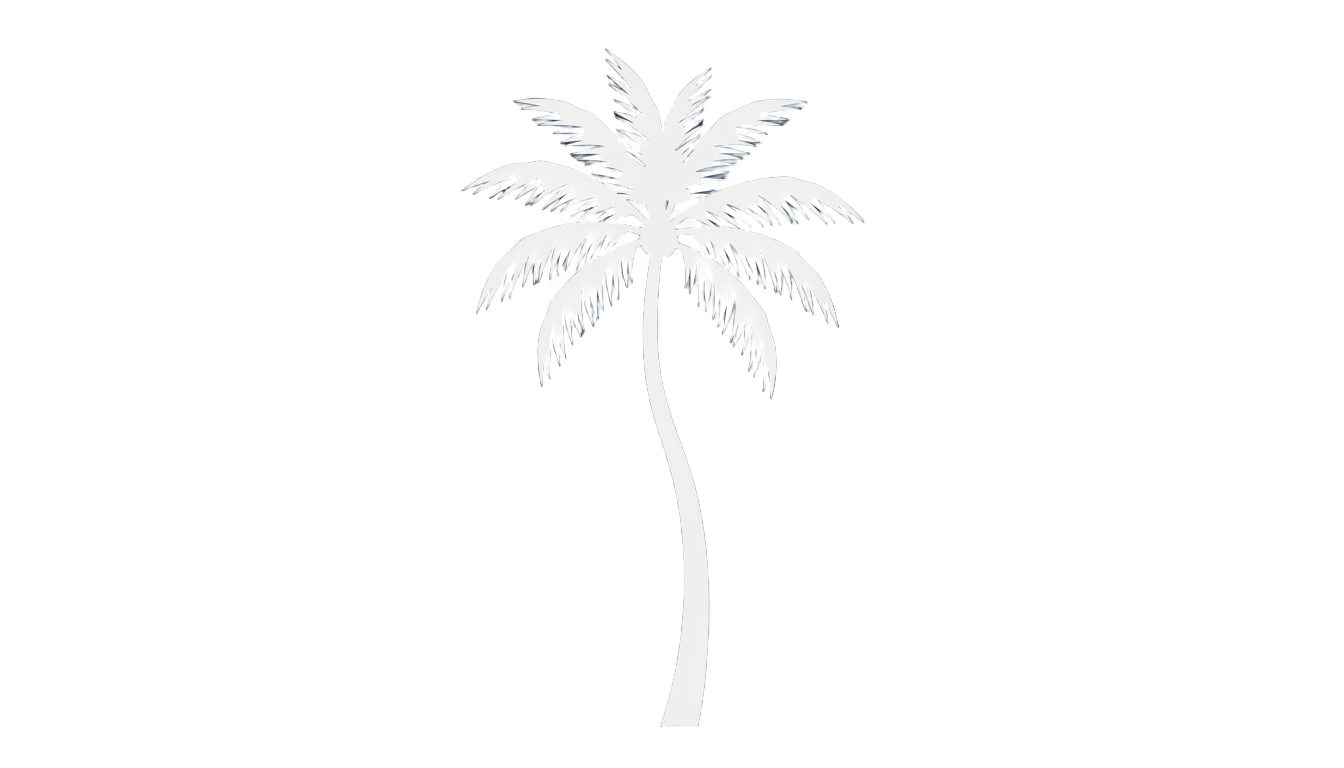 palm tree icon white png PNG transparent background
