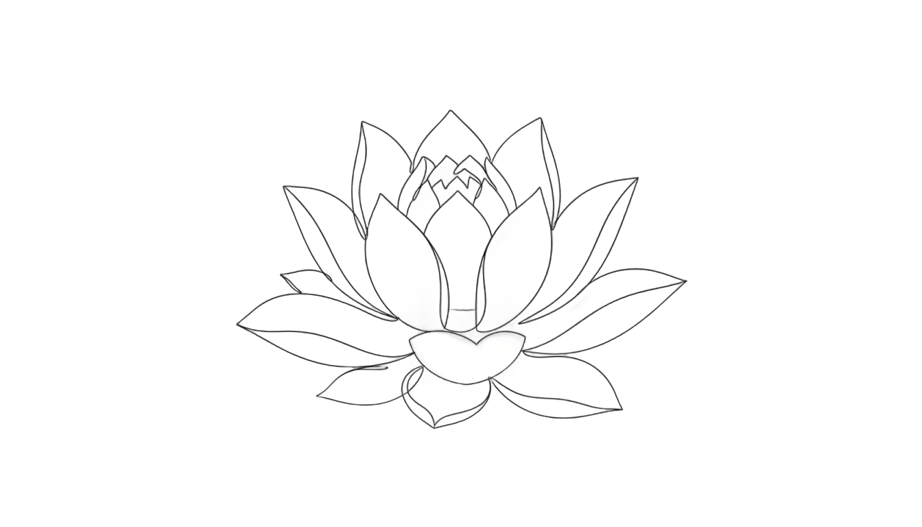 lotus line art png PNG transparent background
