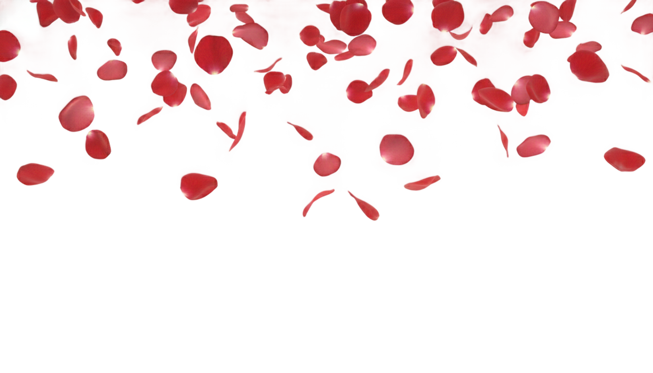 rose petals falling png PNG transparent background