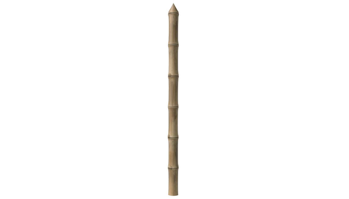 dried bamboo png PNG transparent background