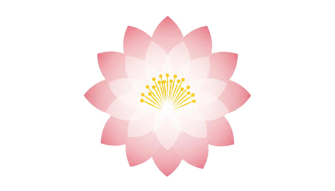 lotus flower vector png PNG transparent background