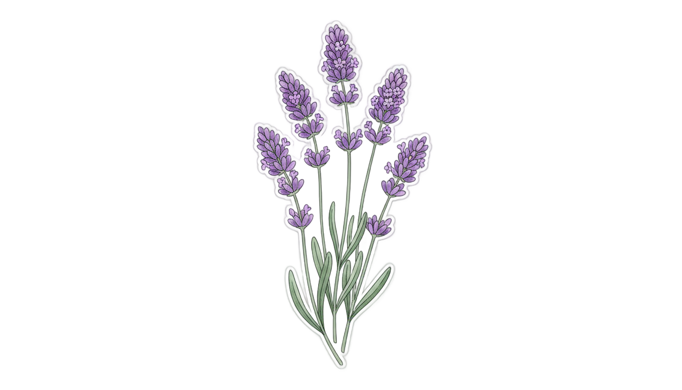 lavender sticker png PNG transparent background