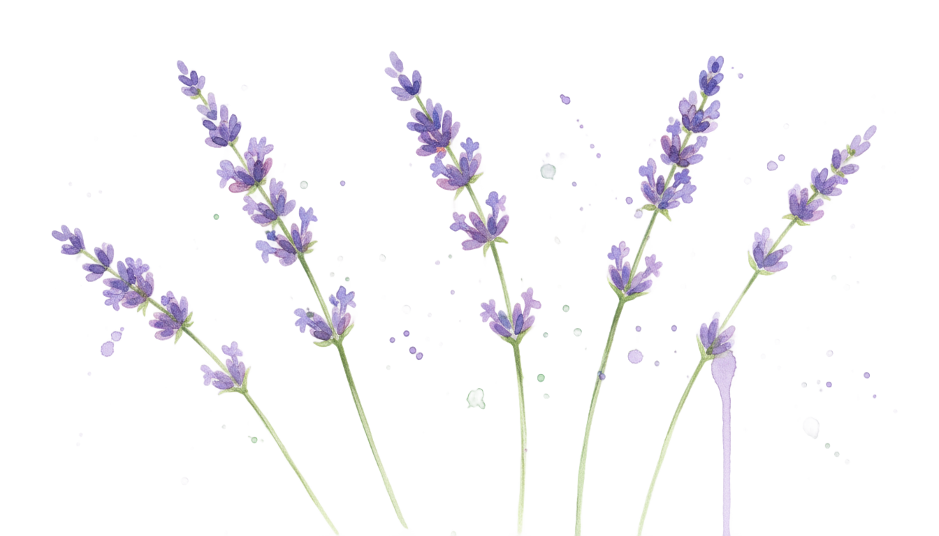 watercolor lavender png PNG transparent background