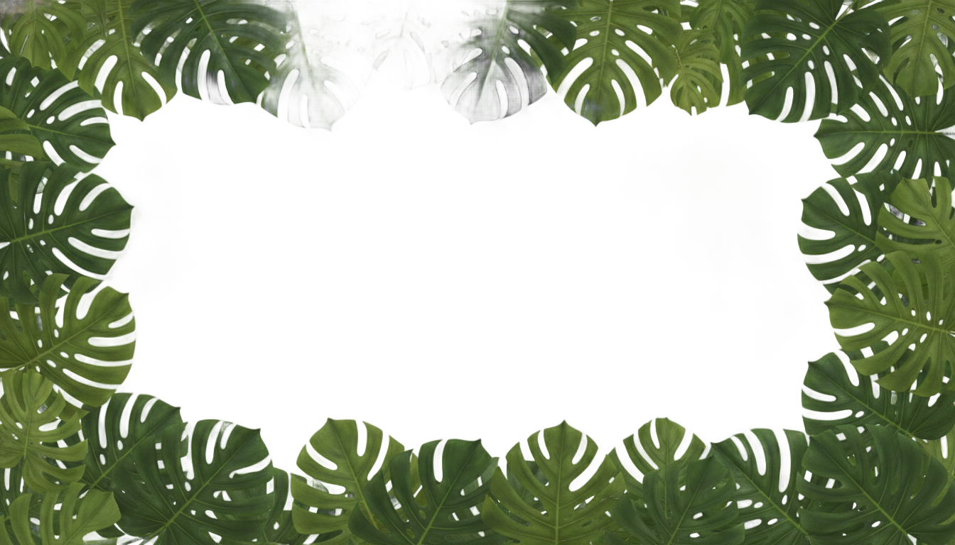 monstera border png PNG transparent background