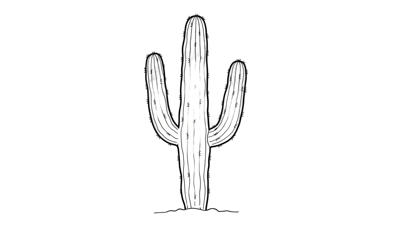 cactus outline png PNG transparent background