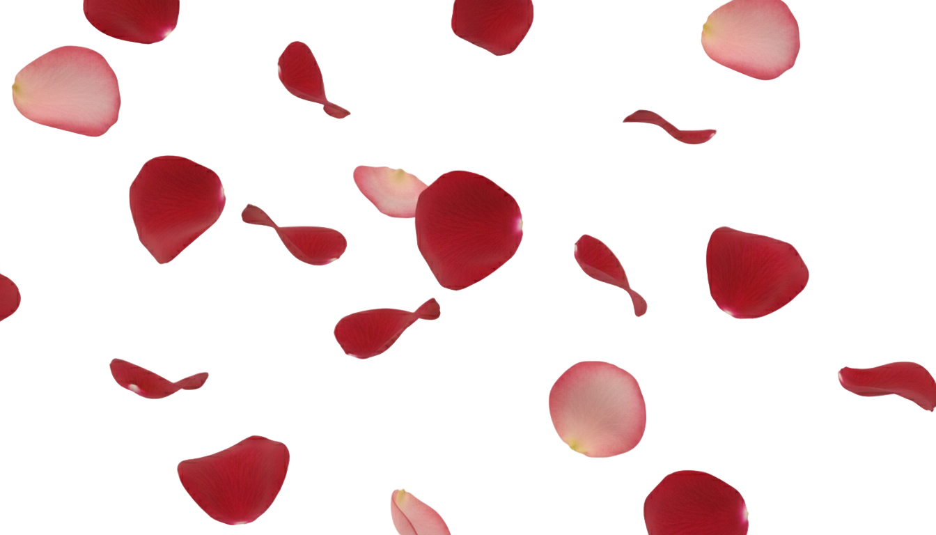 rose petals falling png PNG transparent background