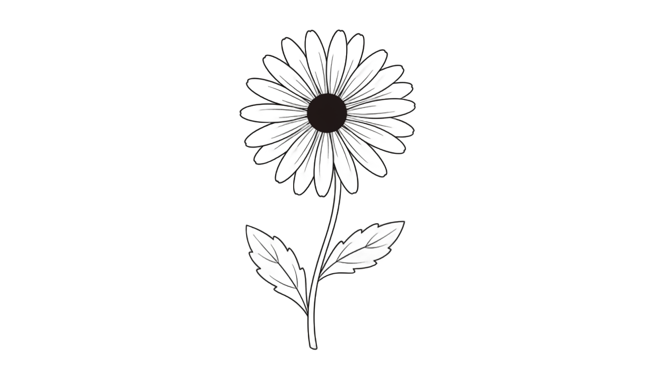 daisy flower png black and white PNG transparent background