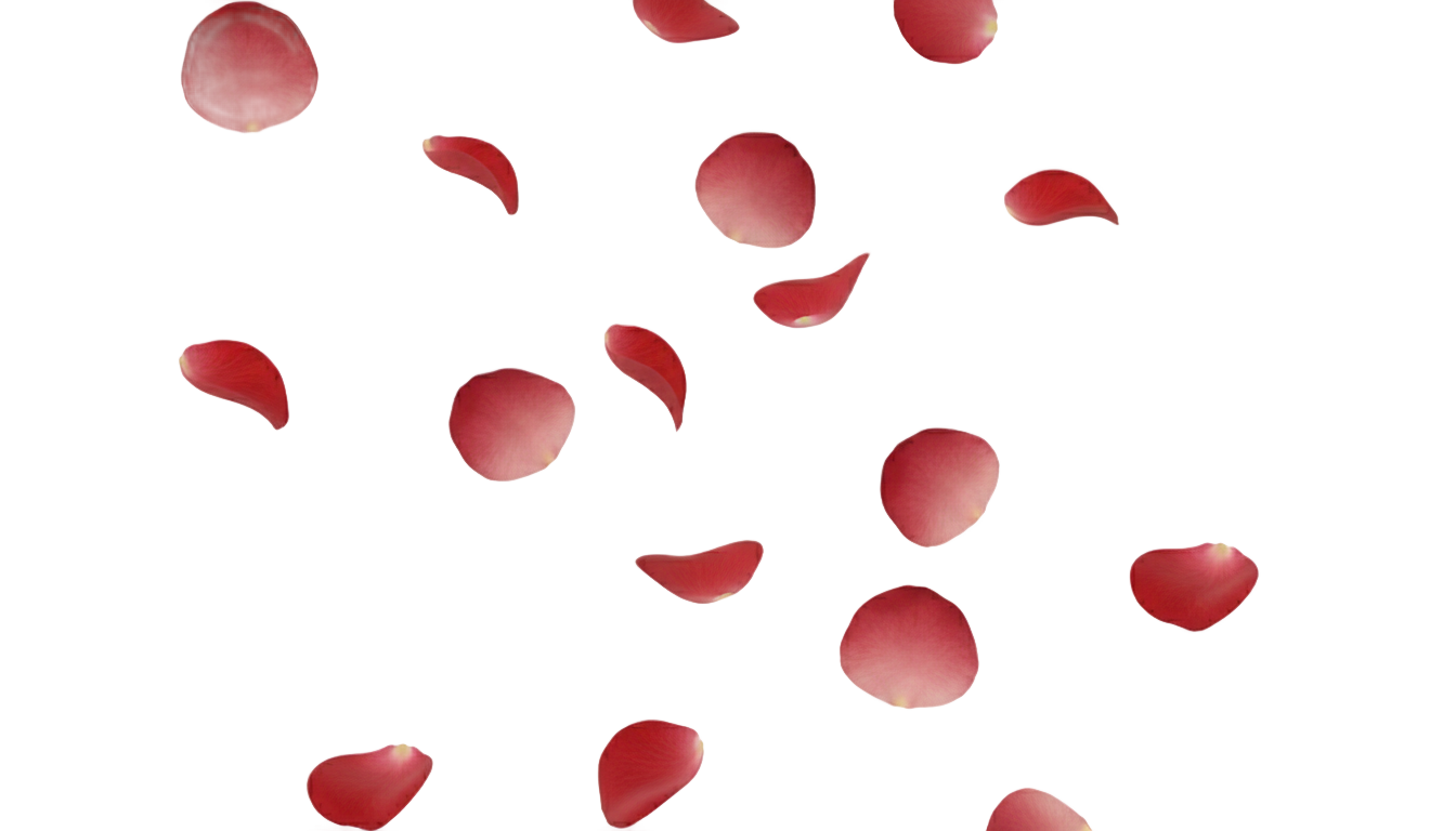 rose petals falling png PNG transparent background