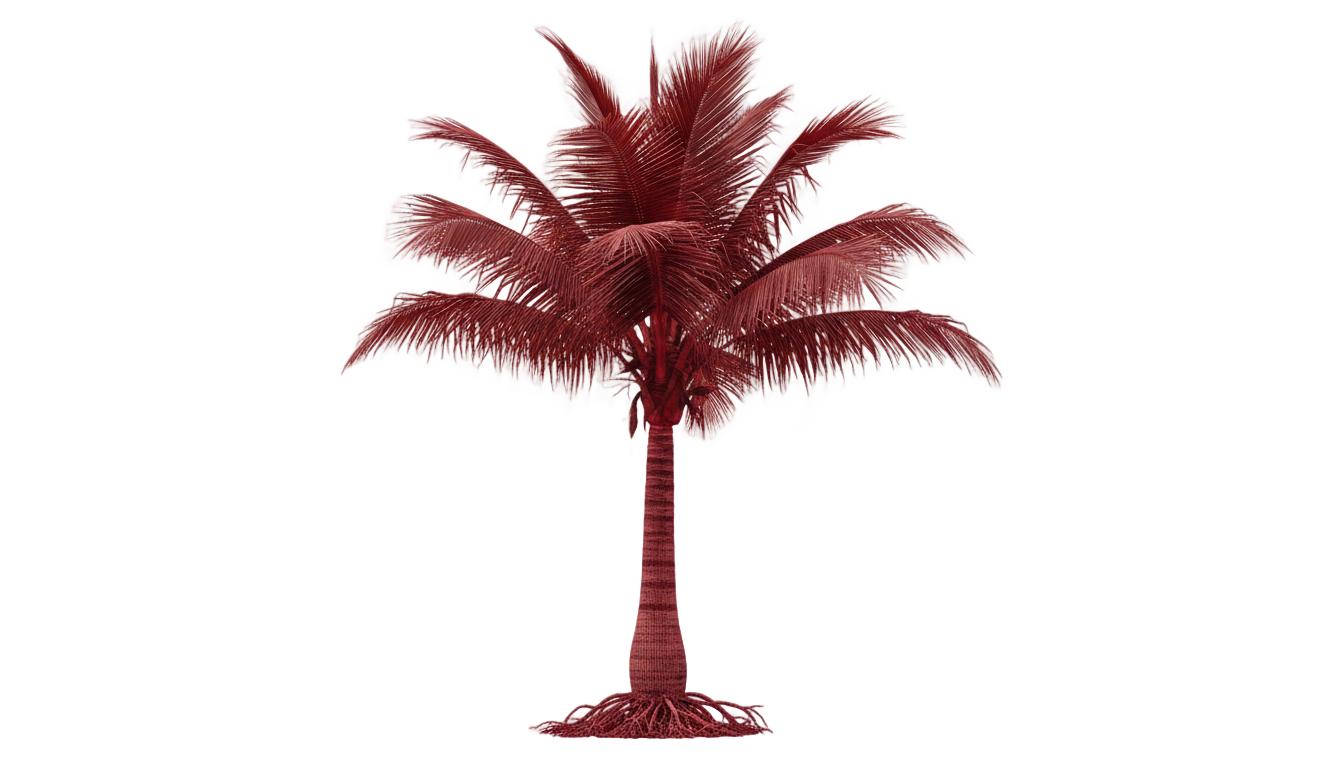red palm tree png PNG transparent background