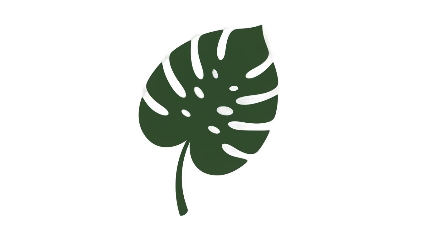monstera icon png PNG transparent background