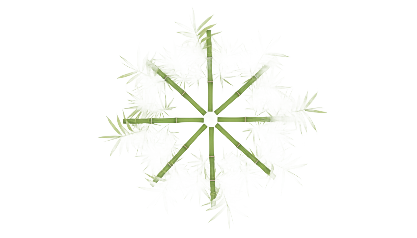 bamboo tree top view png PNG transparent background