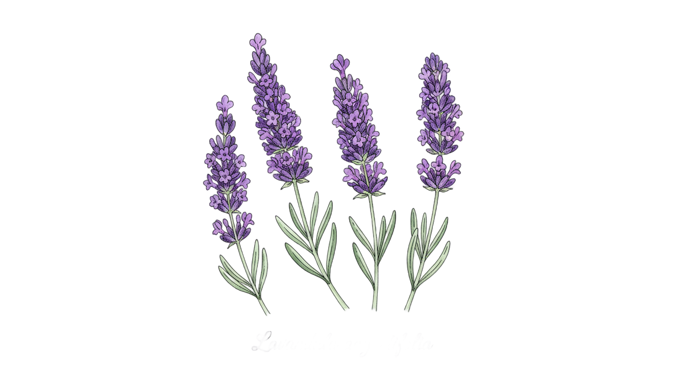 lavender clipart png PNG transparent background