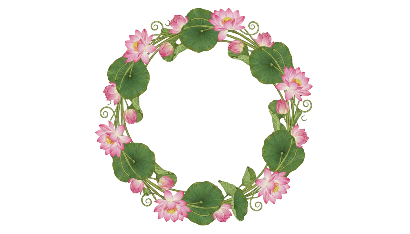 lotus frame png PNG transparent background