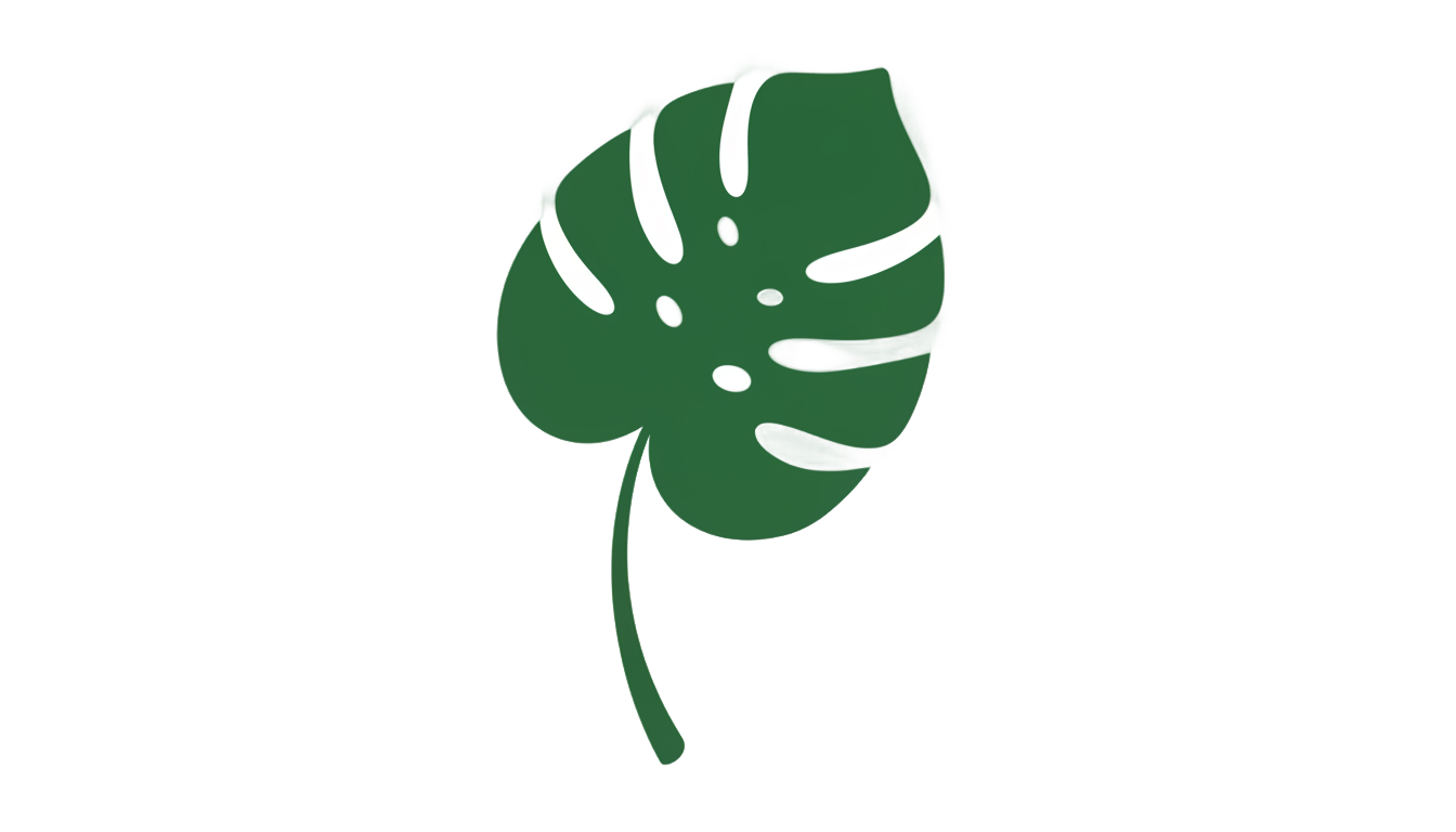 monstera icon png PNG transparent background