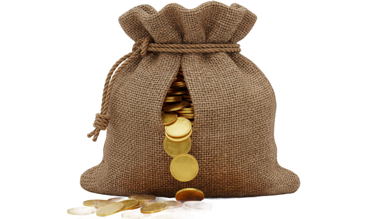 bag of gold png PNG transparent background