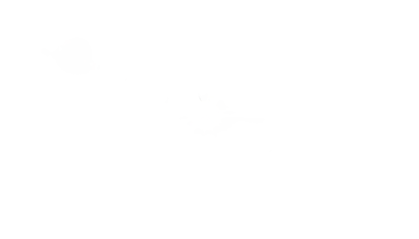 phone flash png PNG transparent background