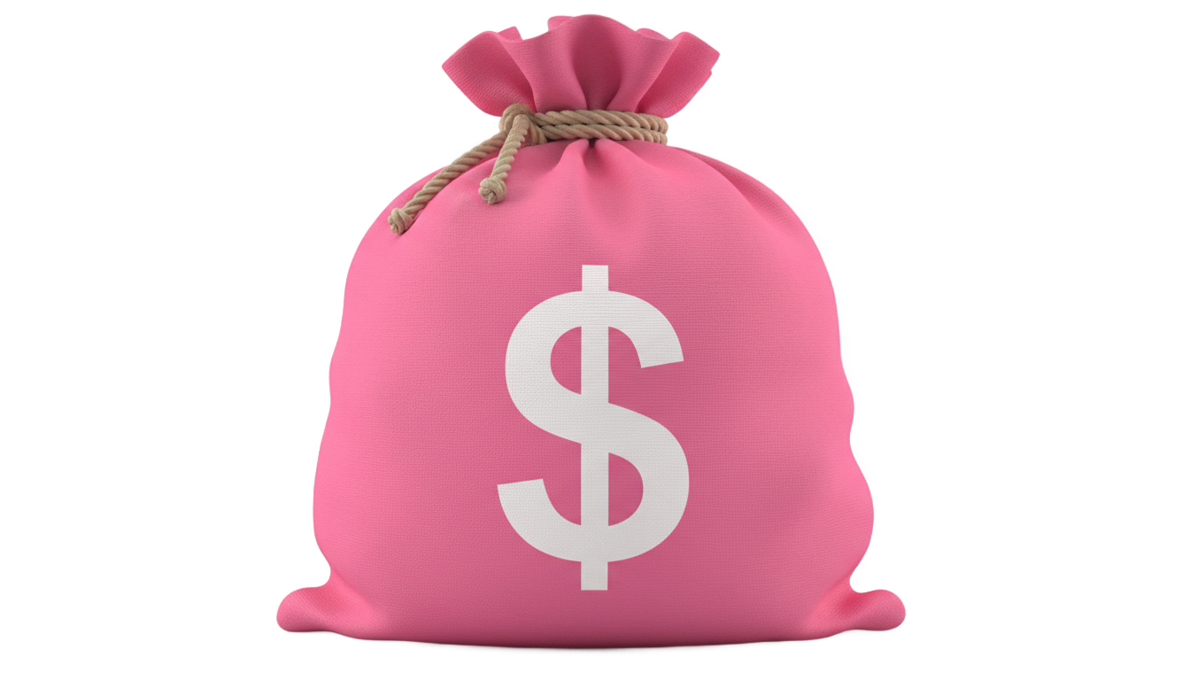 pink money bag png PNG transparent background