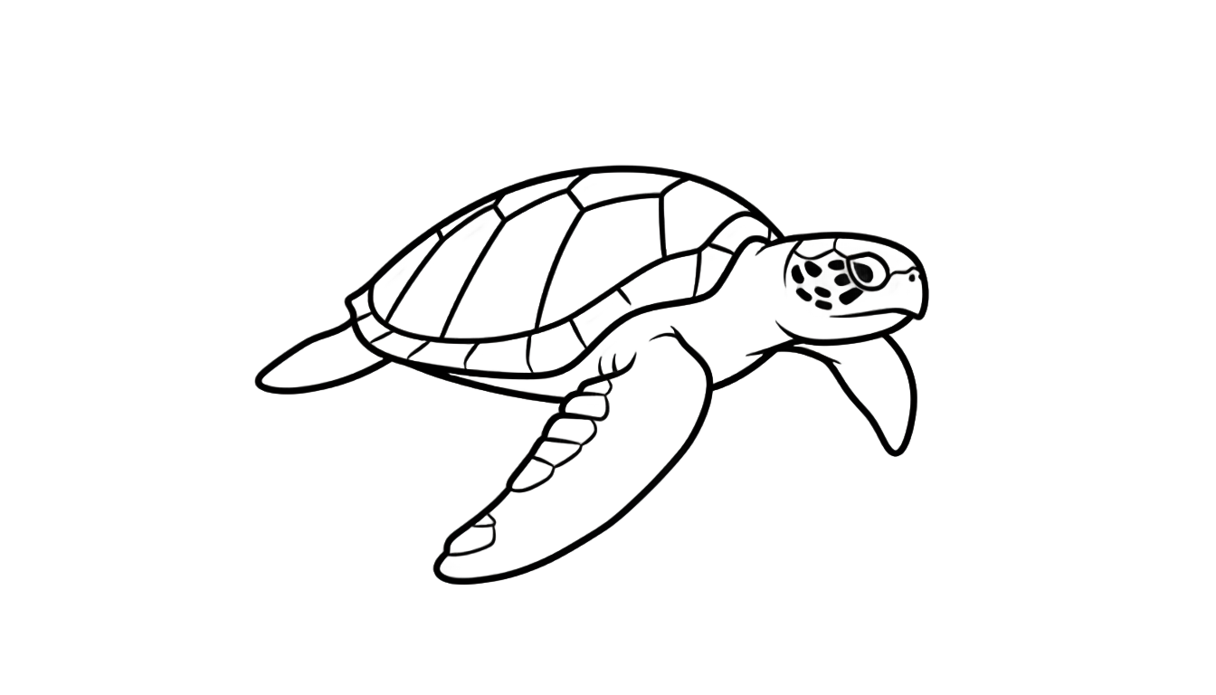 sea turtle outline png PNG transparent background
